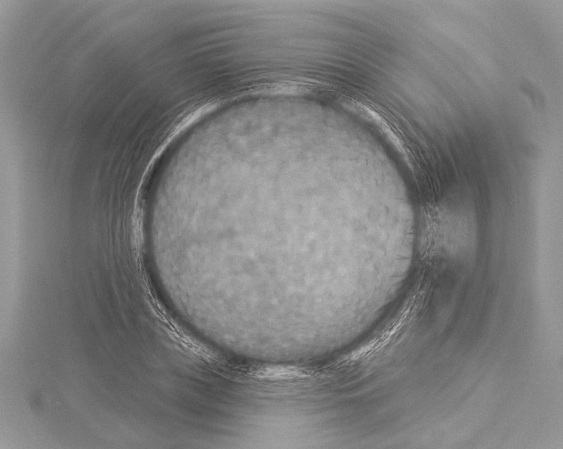 X0000114130835200911191120