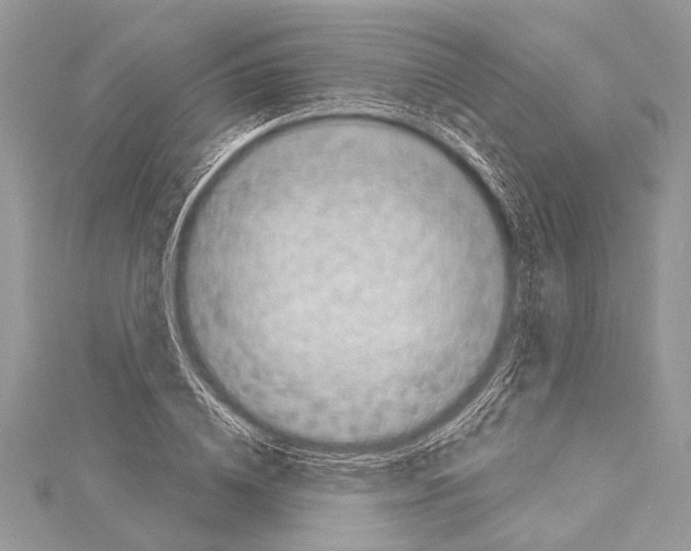 X0000114130836200911191120