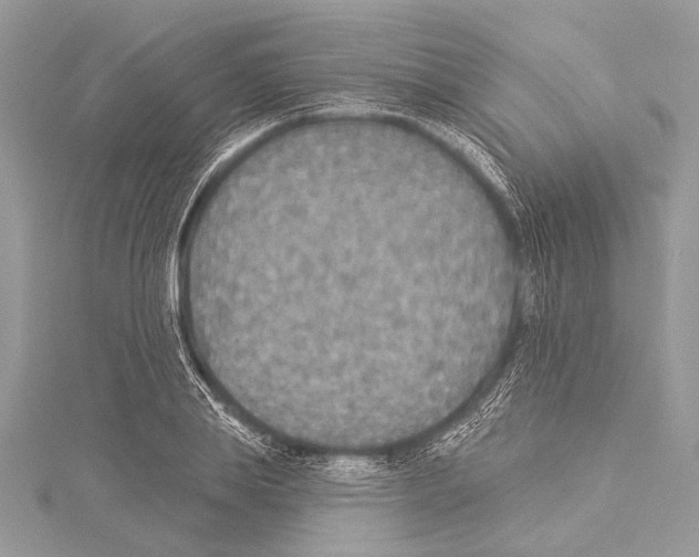 X0000114130839200911191120