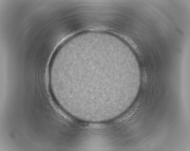 X0000114130840200911191120