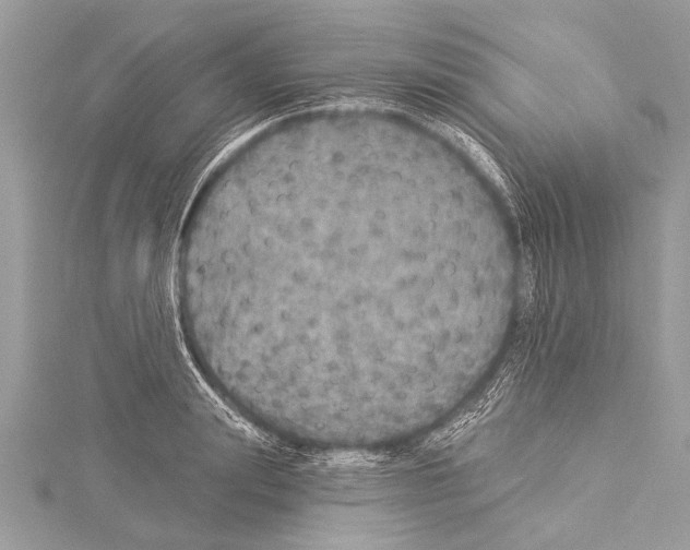 X0000114130847200911191120