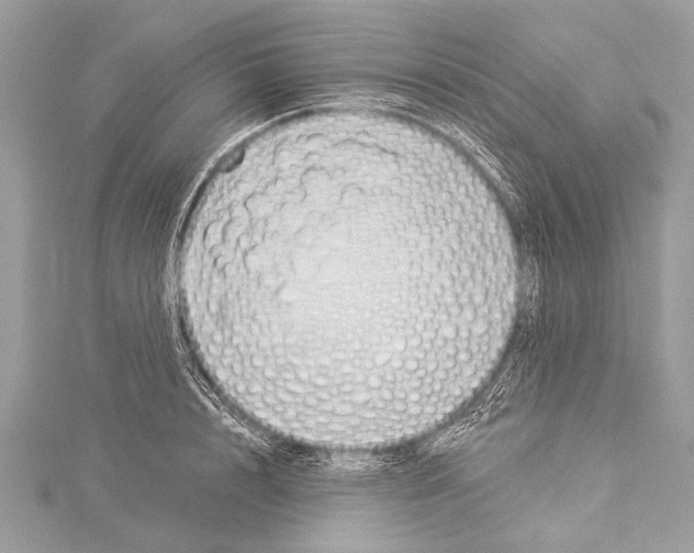 X0000114130848200911191120