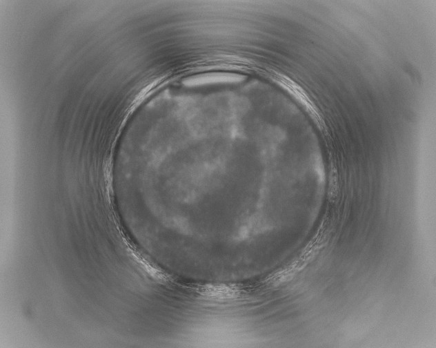 X0000114130850200911191120