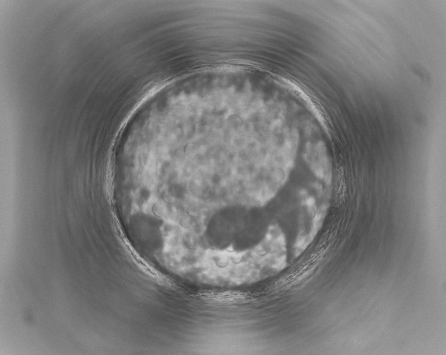 X0000114130851200911191121