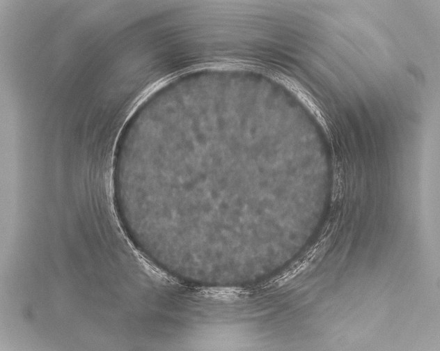 X0000114130853200911191121