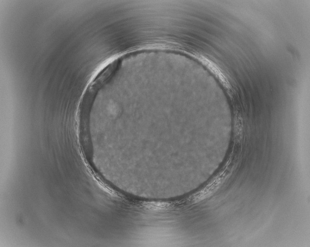 X0000114130854200911191121