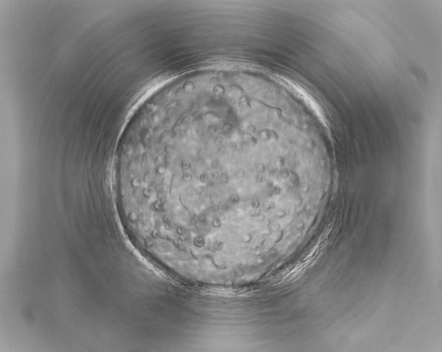 X0000114130855200911191121