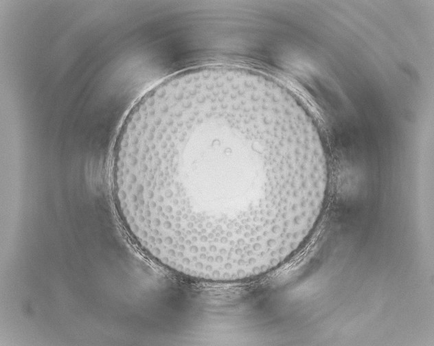 X0000114130856200911191121