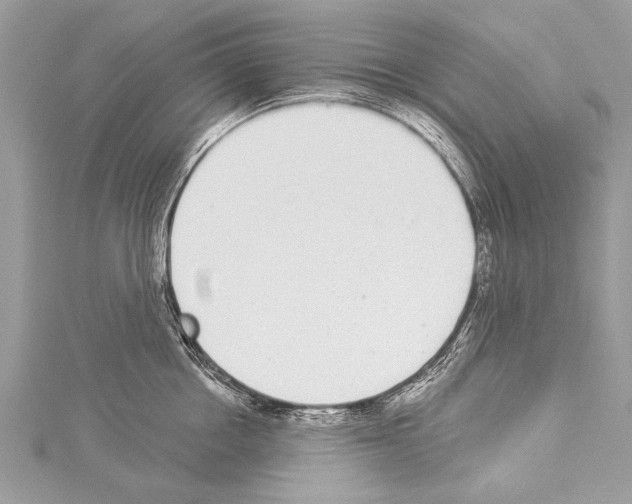 X0000114130858200911191121