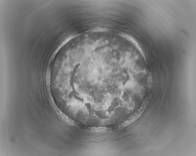 X0000114130859200911191121