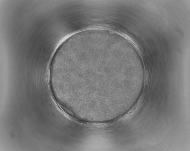 X0000114130862200911191121