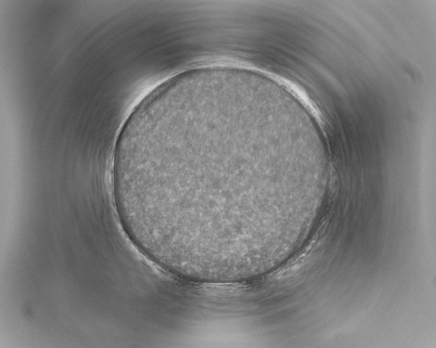 X0000114130863200911191121