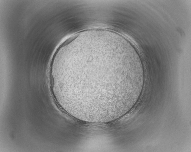 X0000114130864200911191121