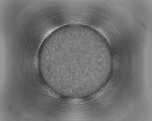 X0000114130879200911191120