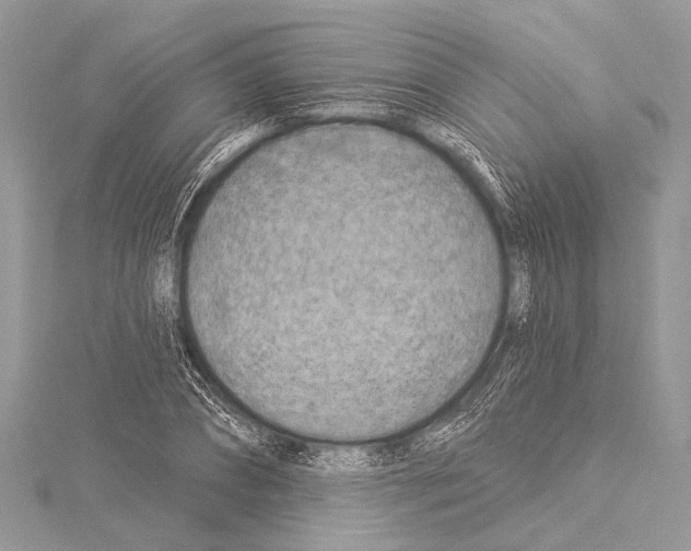 X0000114130882200911191120