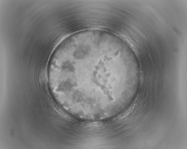 X0000114130891200911191120