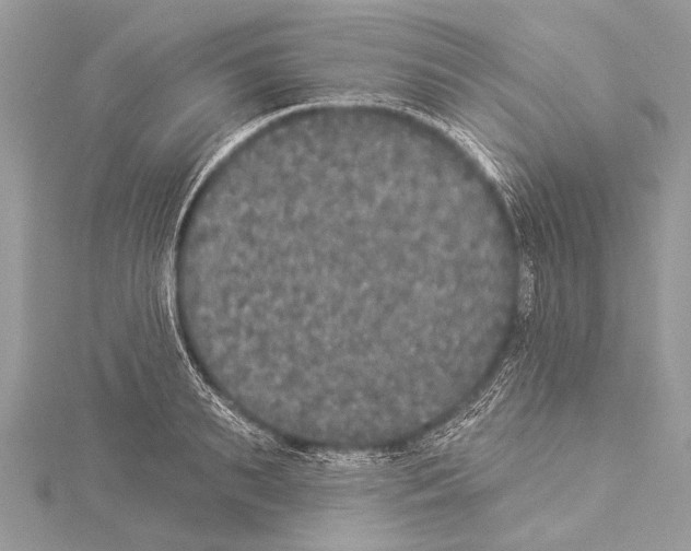 X0000114130895200911191120