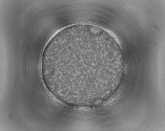 X0000114130903200911191120