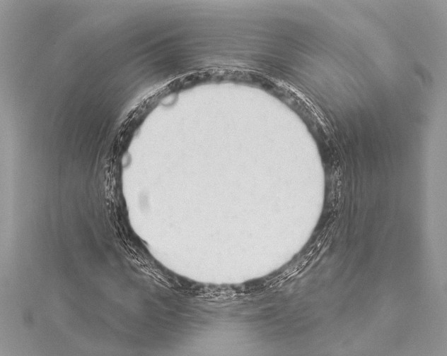 X0000114130919200911191119