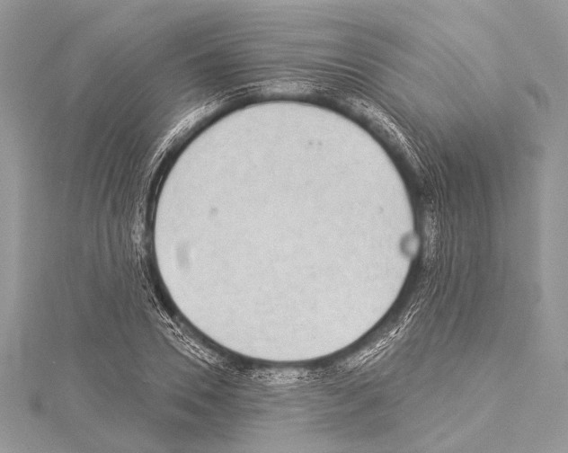 X0000114130930200911191119