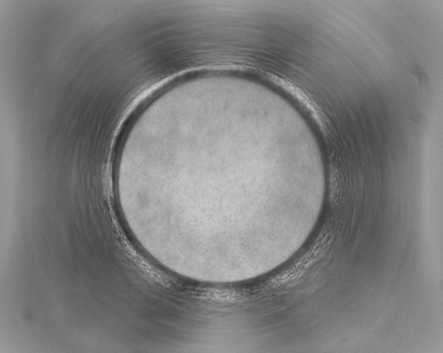 X0000114130935200911191119