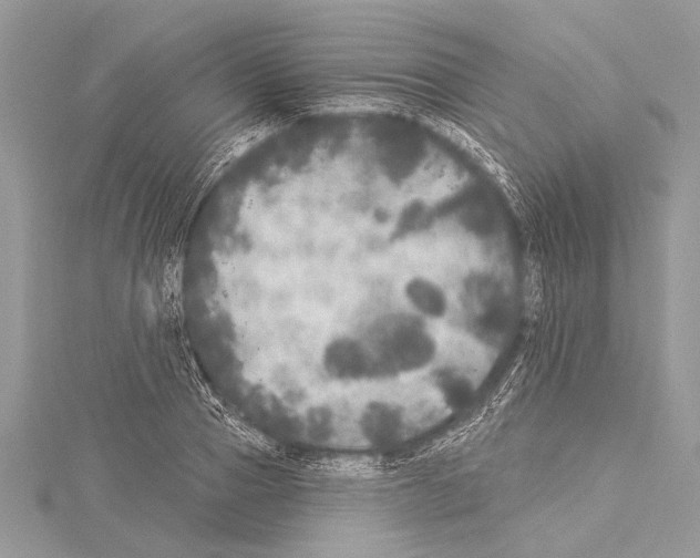 X0000114130937200911191119