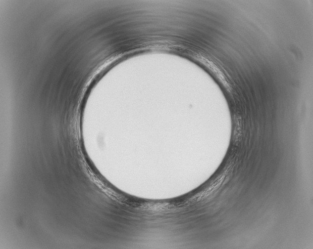 X0000114130939200911191119