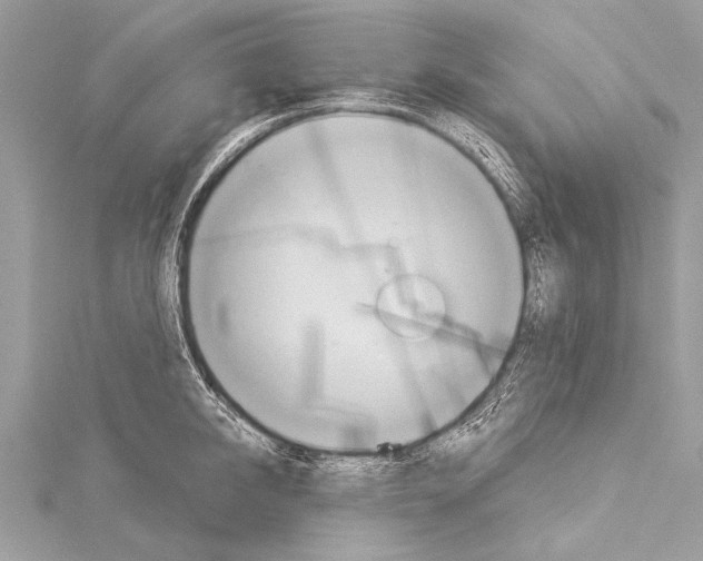 X0000114130950200911191119