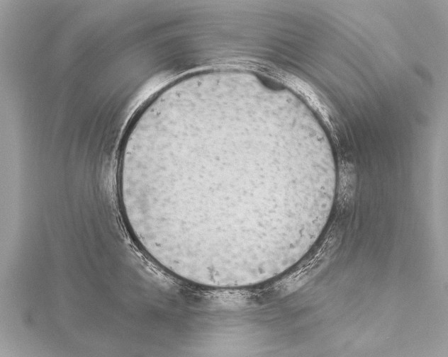 X0000114130952200911191119