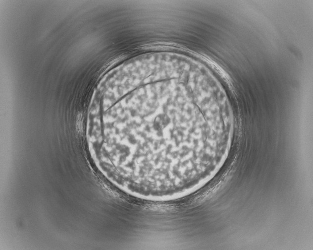 X0000114130953200911191119