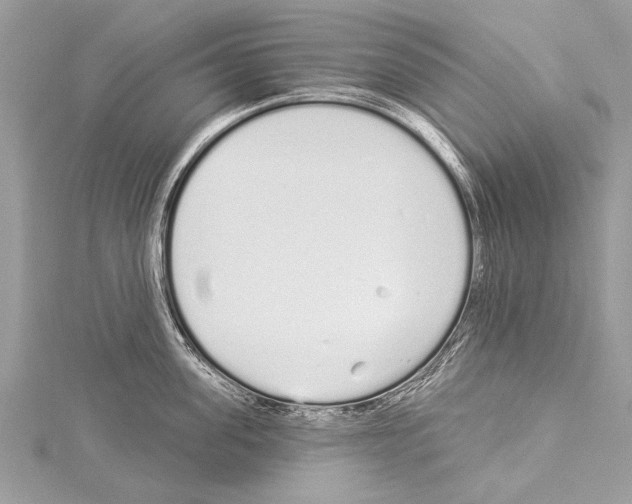 X0000114130955200911191119