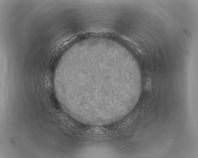 X0000114130966200911191119