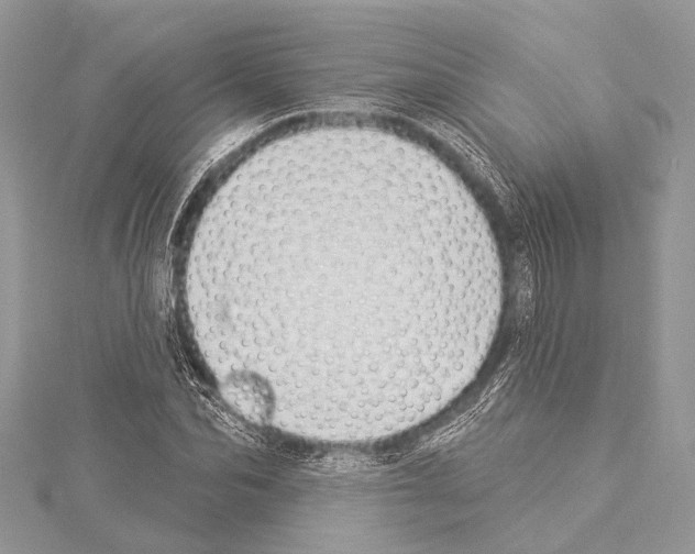 X0000114130974200911191119