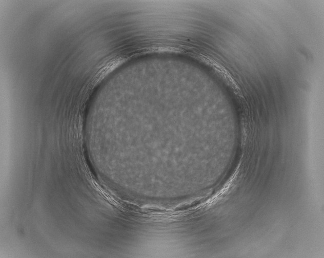 X0000114130977200911191119