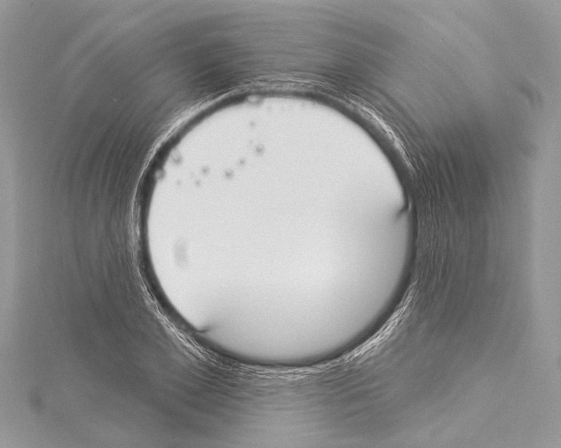 X0000114130981200911191119