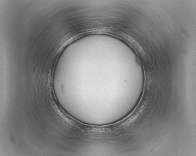 X0000114130985200911191119