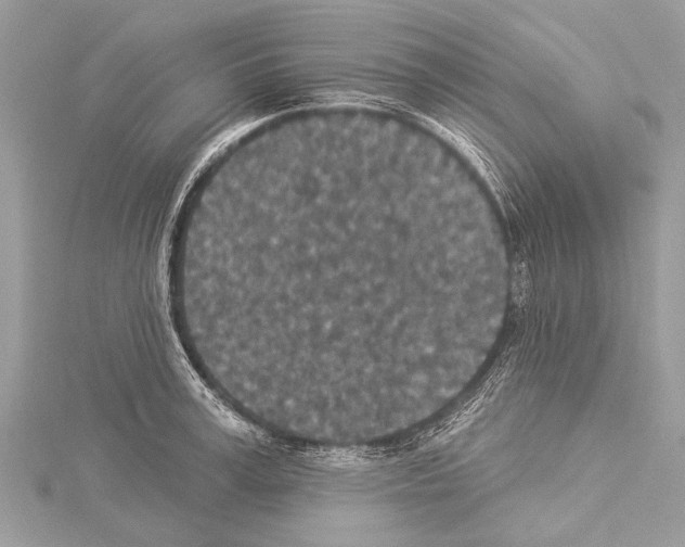 X0000114130995200911191118