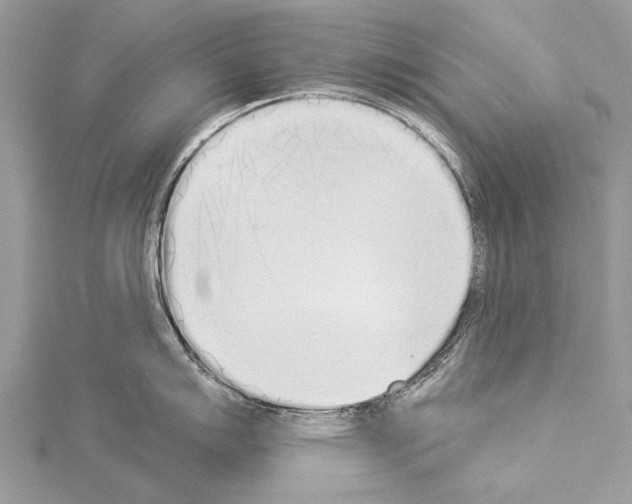 X0000114131007200911191118