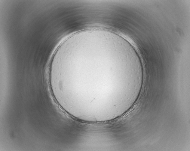 X0000114131008200911191118