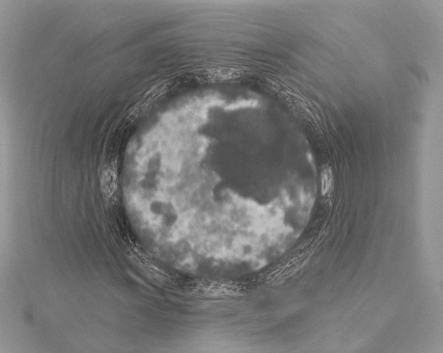 X0000114131011200911191118