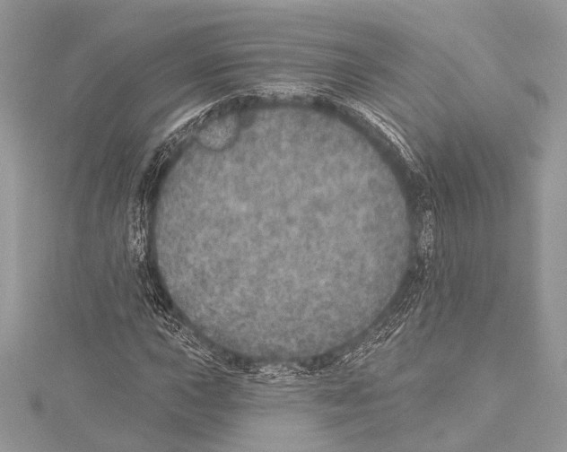 X0000114131015200911191118