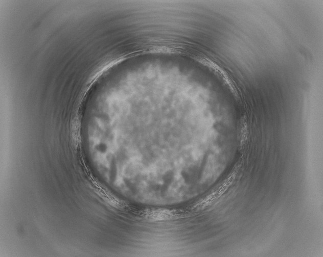 X0000114131019200911191118