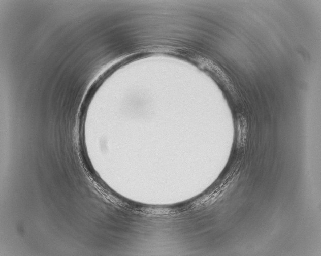 X0000114131020200911191118