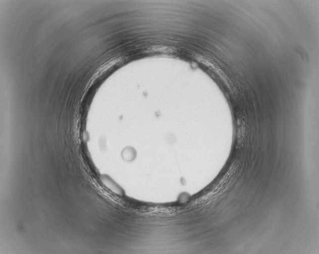 X0000114131026200911191118