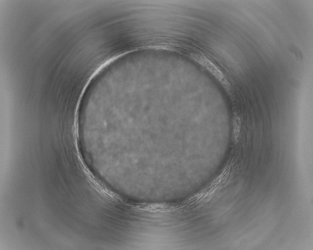 X0000114131028200911191118