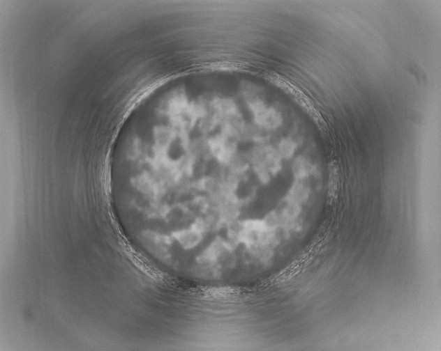 X0000114131031200911191118