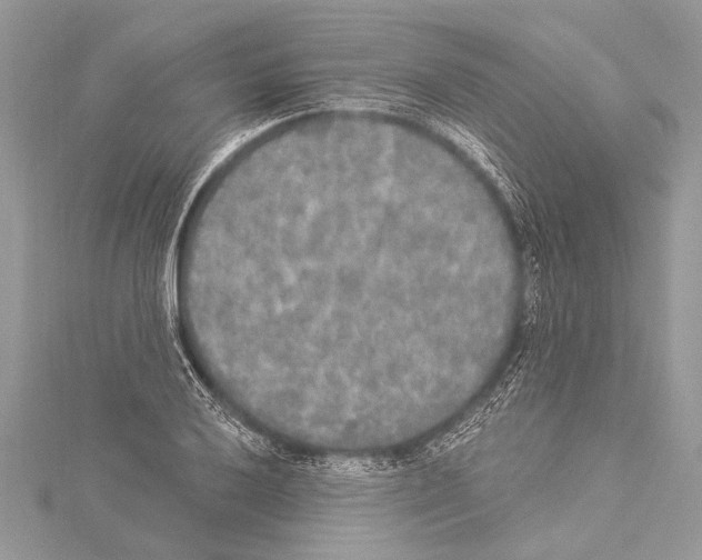 X0000114131032200911191118