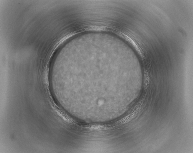 X0000114131035200911191118