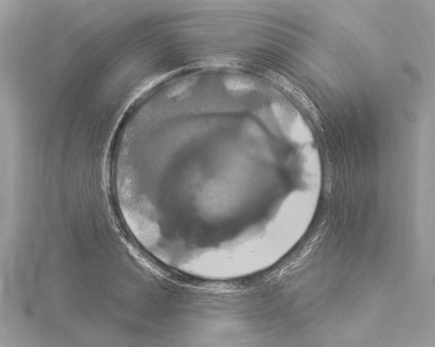 X0000114131037200911191118