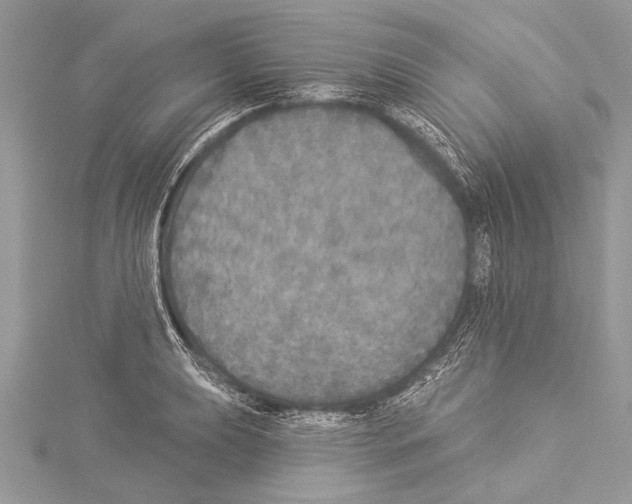 X0000114131039200911191118